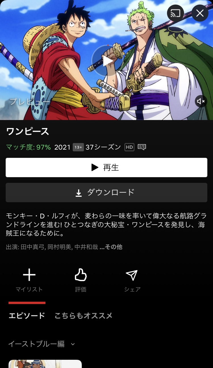 netflix 再生