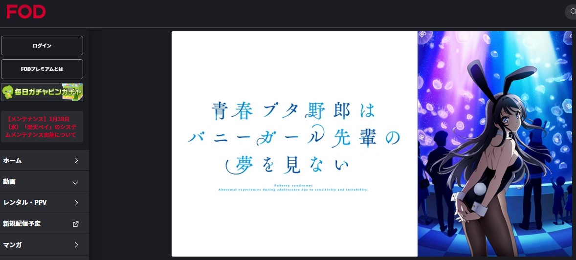 青春ブタ野郎はバニーガール先輩の夢を見ない fod