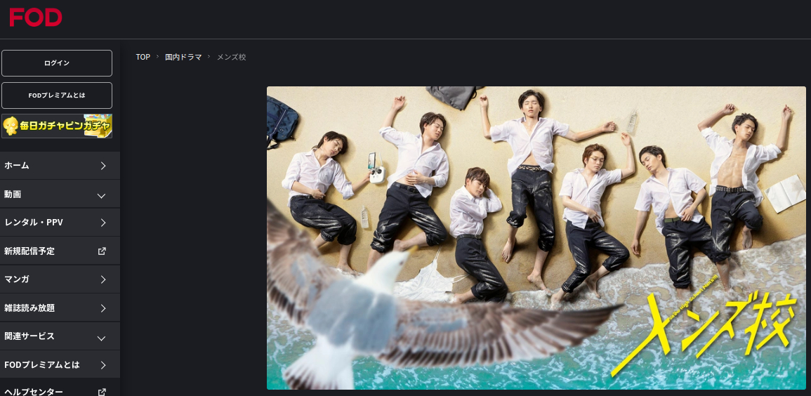 メンズ校 fod